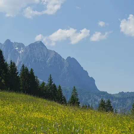Noichl's Garni Отель