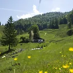 Noichl’s Garni