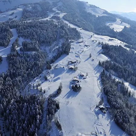 加尼诺依克酒店 酒店 3*